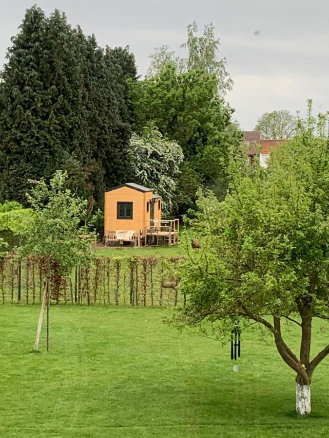 מלון אוברייסה Joly Tiny House מראה חיצוני תמונה